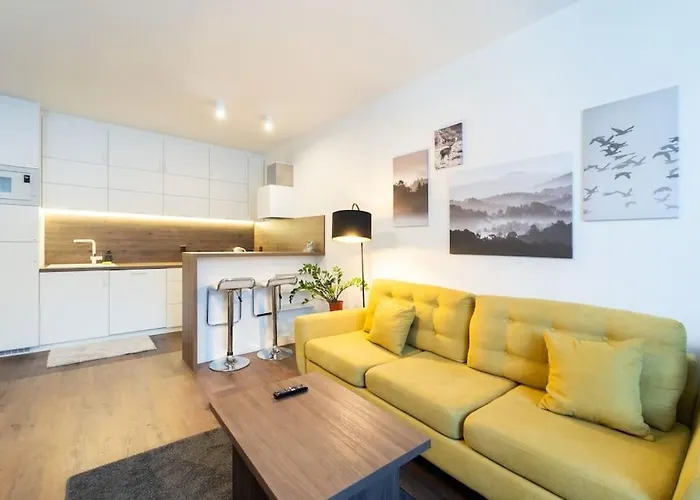 Elegant Studio In The Heart Of Brno